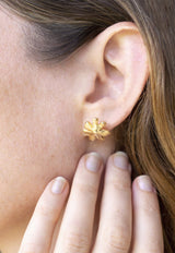 Bloom Studs
