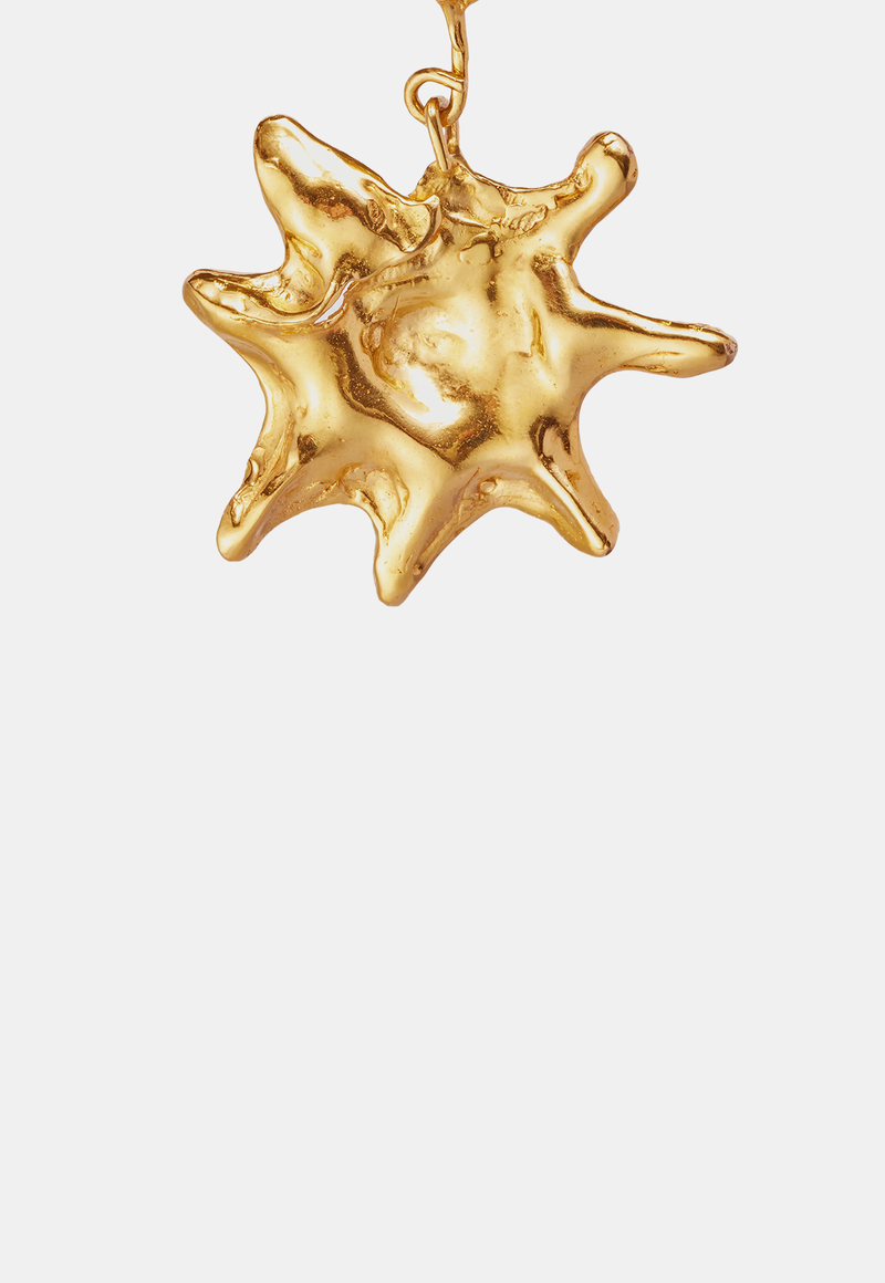 Astro Earrings Gold